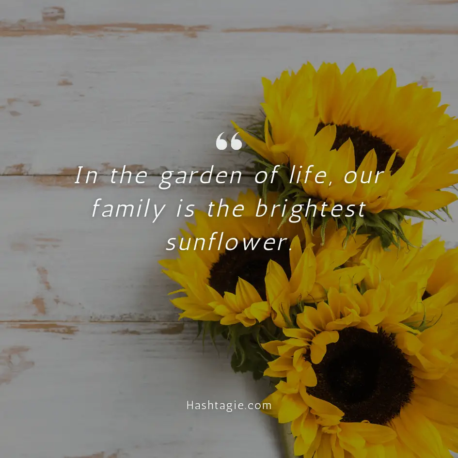 Sunflower captions for family example image