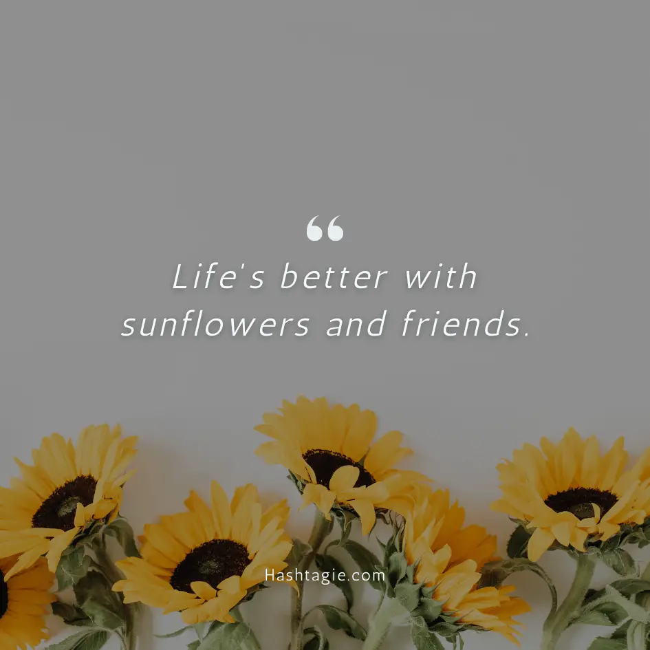 Sunflower captions for friends example image