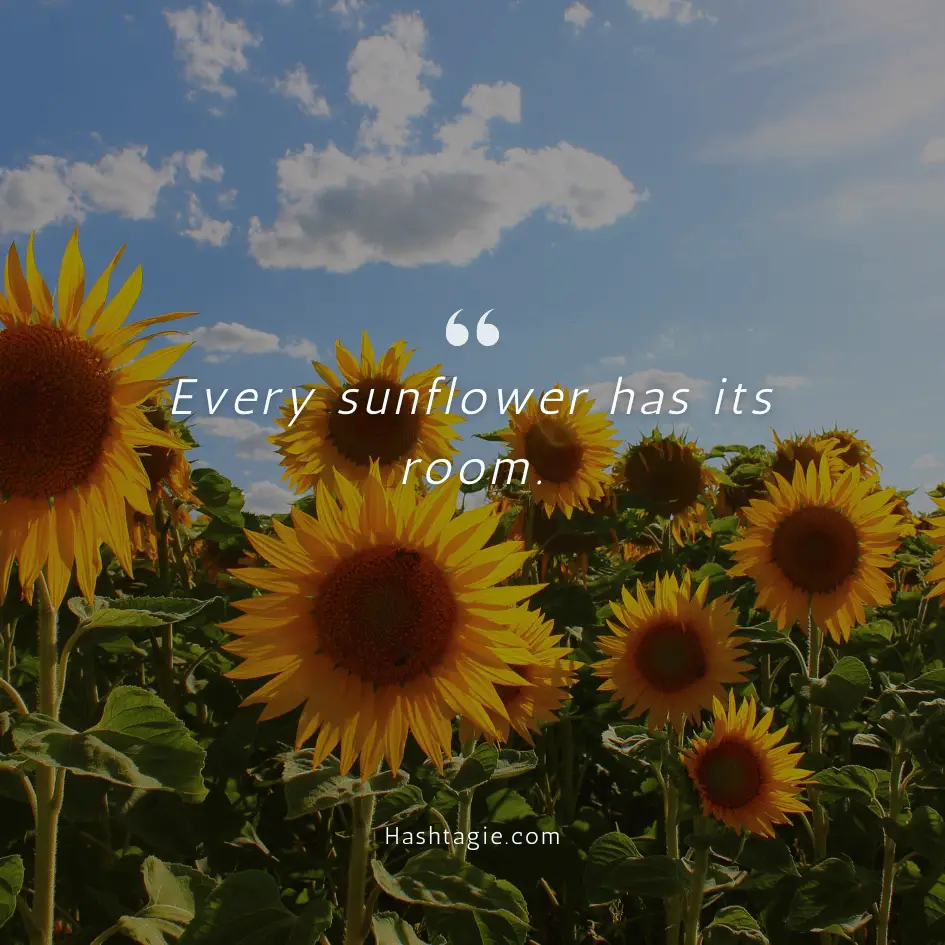 Sunflower captions for living room example image