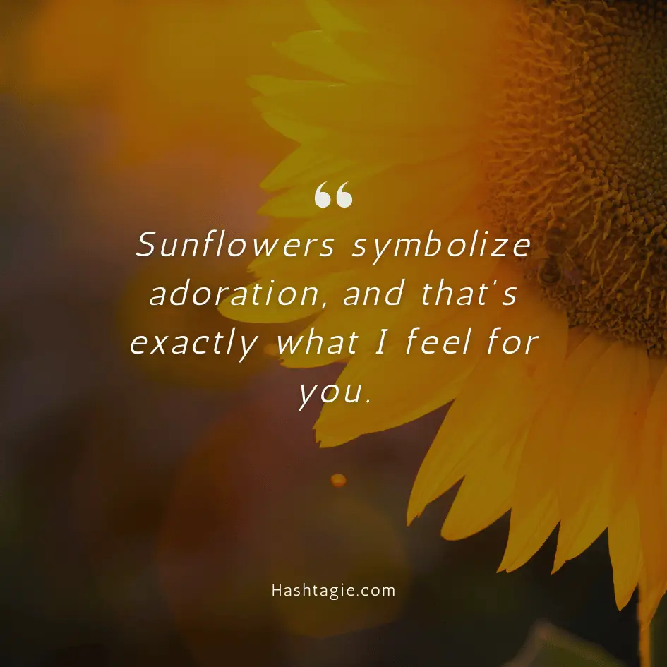 Sunflower captions for love example image