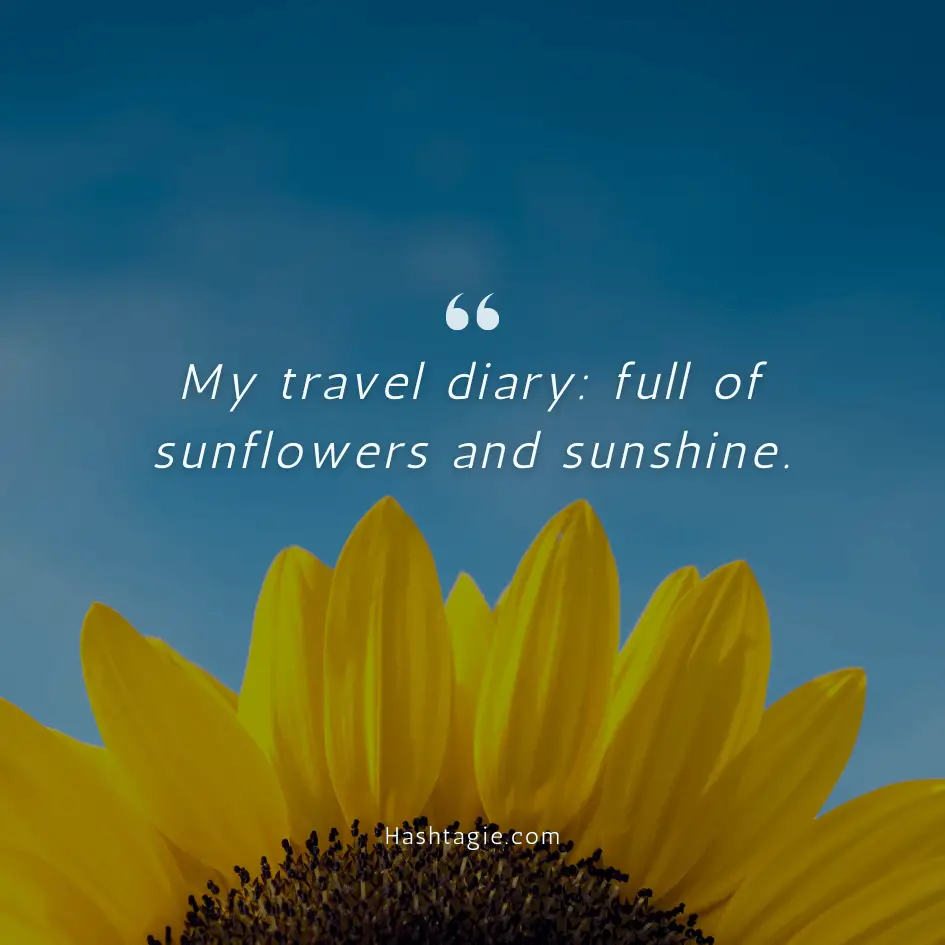 Sunflower captions for travel example image
