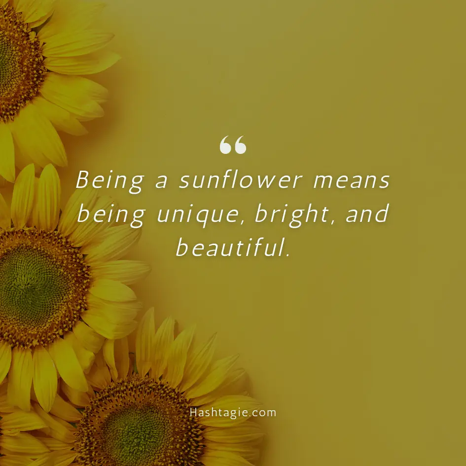 Sunflower quotes for life example image