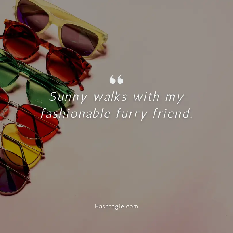 Sunglasses captions for dog walks example image
