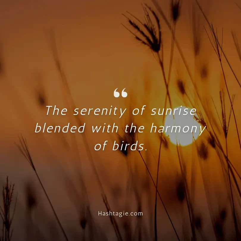 Sunrise Instagram captions for bird watchers example image