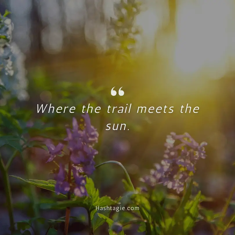 Sunrise Instagram captions for hikers example image