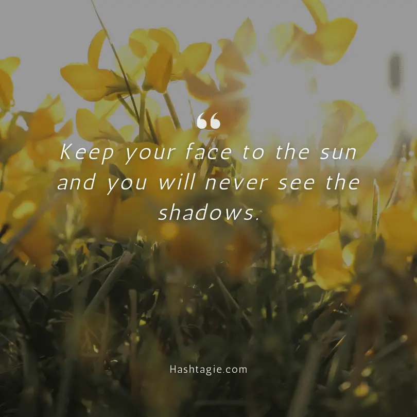 Sunshine quotes for beach photos example image