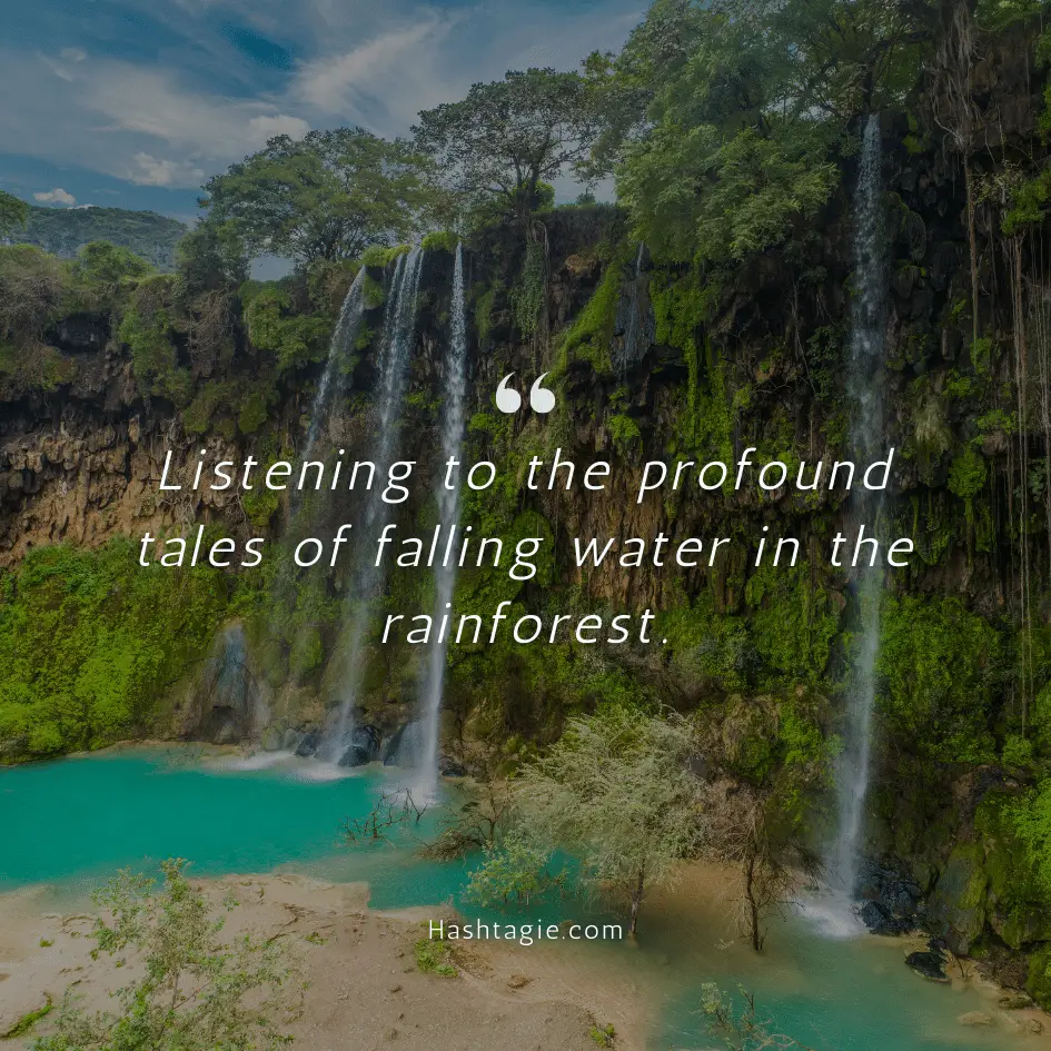 Waterfall captions for rainforest explorations example image