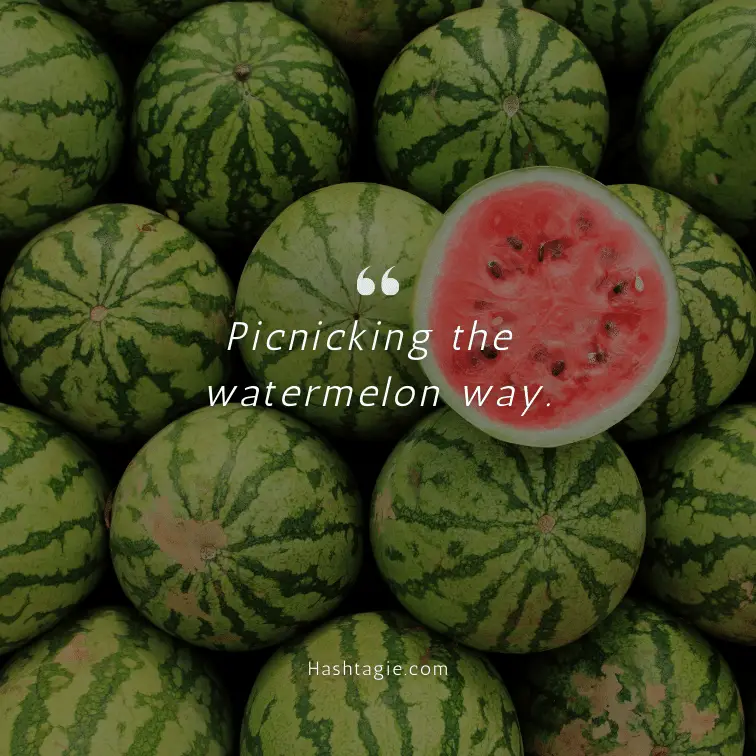 Watermelon Captions for Picnics example image