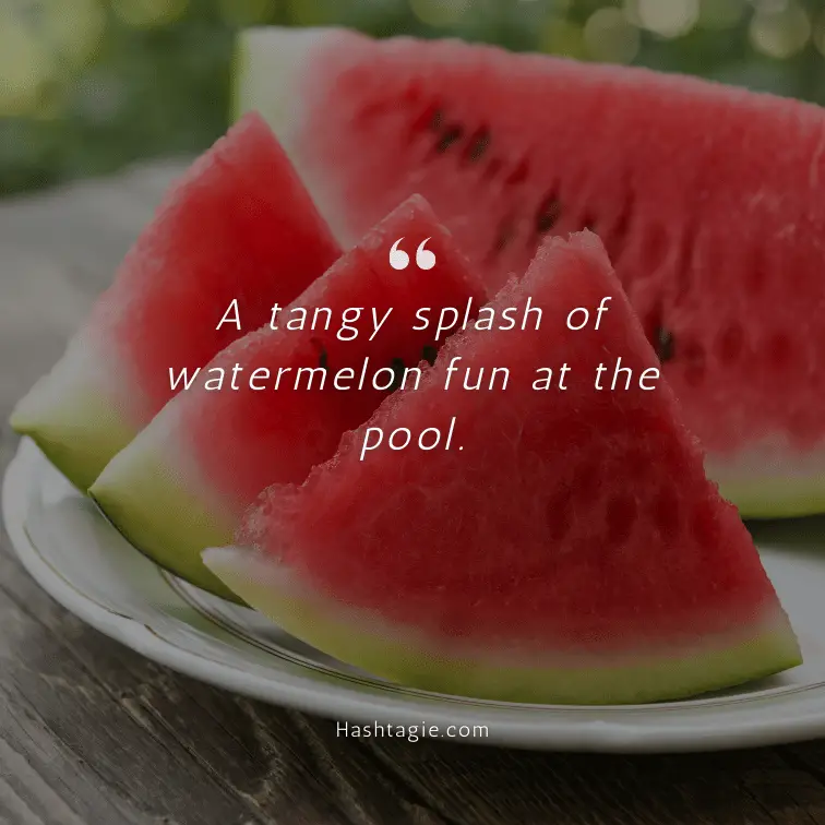 Watermelon Captions for Pool Parties example image