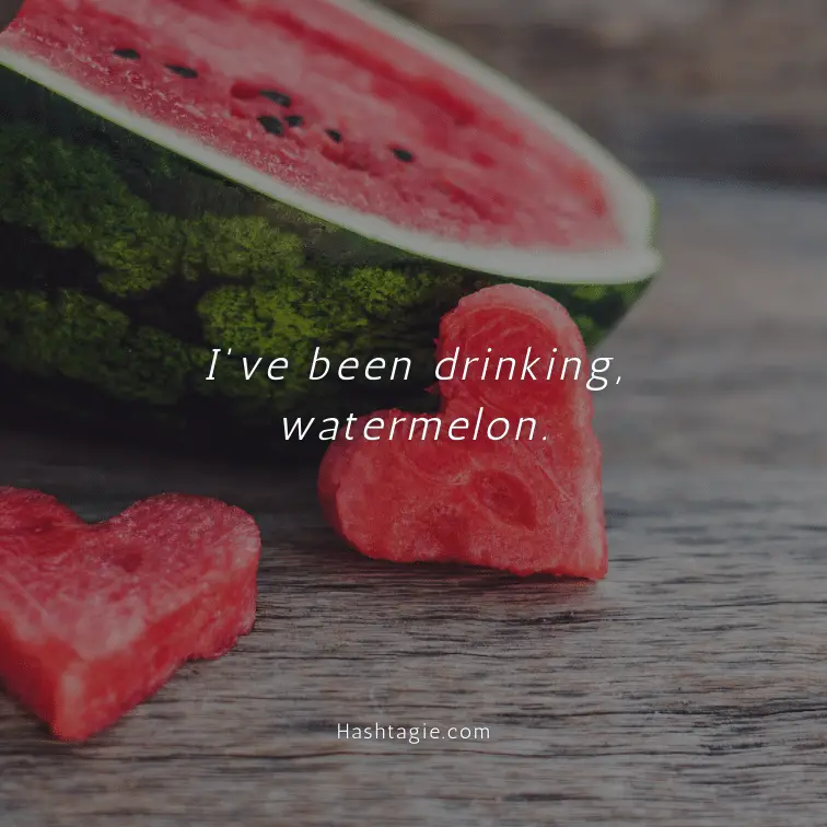 Watermelon Puns for Instagram Captions example image