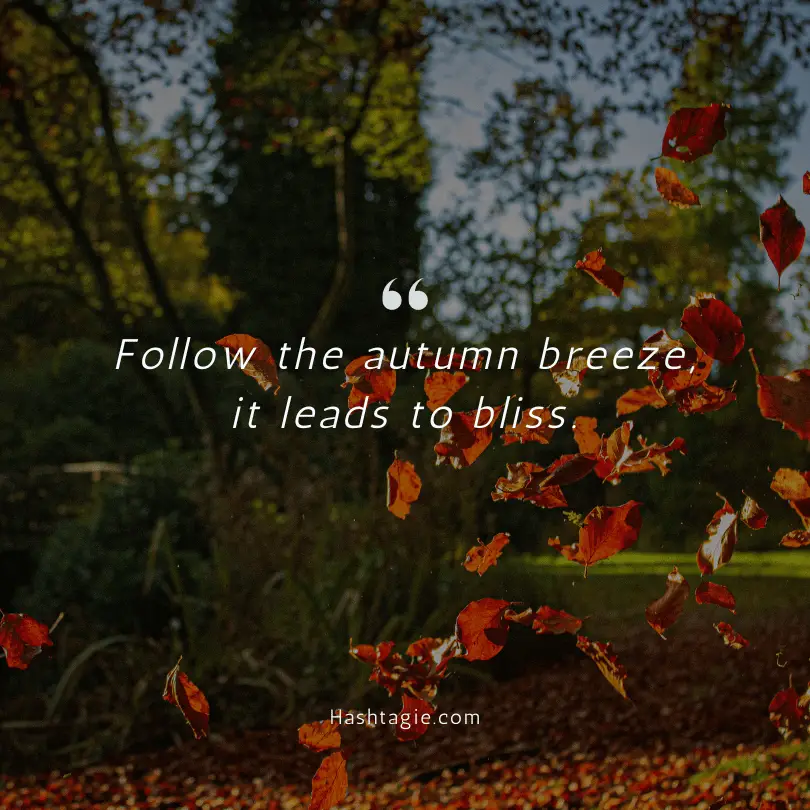Autumnal Nature Instagram Captions example image