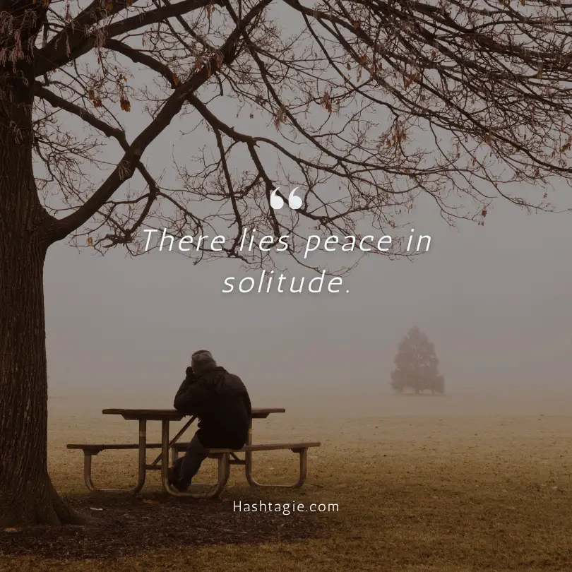 Captions about embracing solitude example image