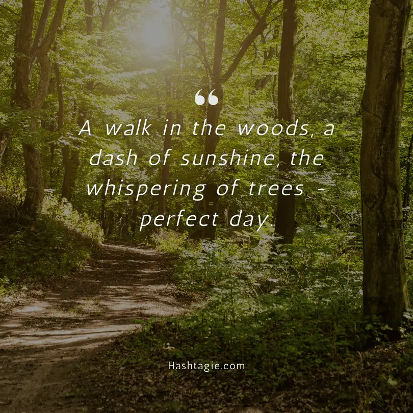 Forest Getaway Instagram Captions example image