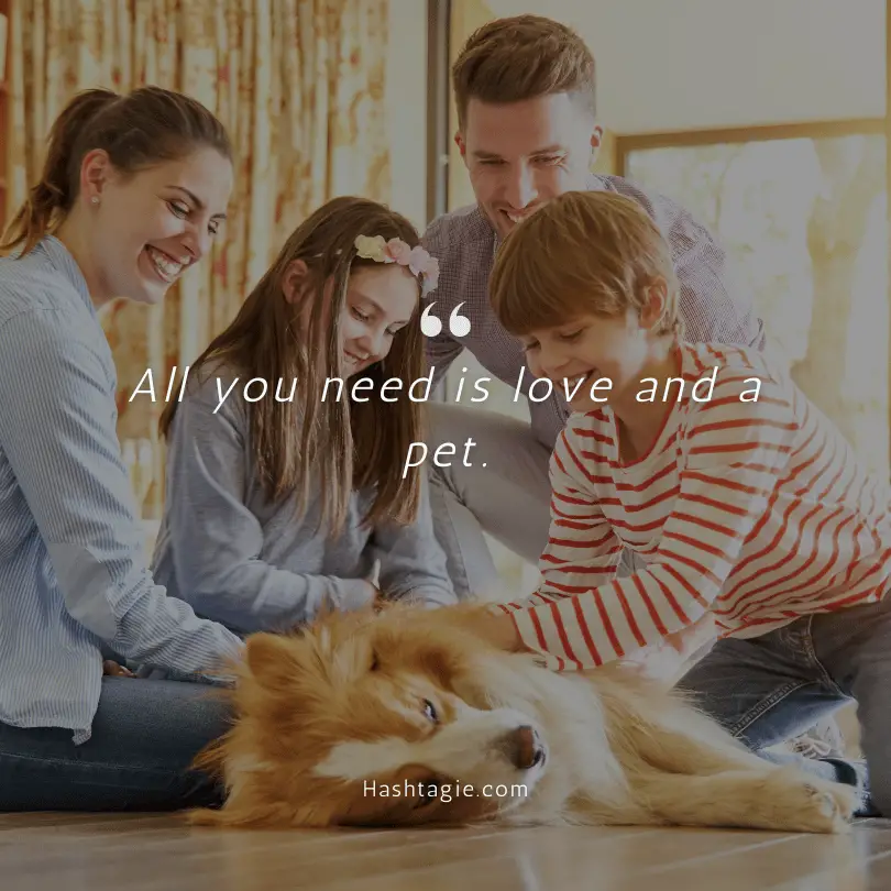 Instagram captions for family pets example image