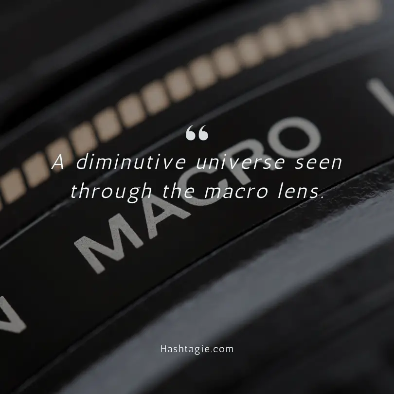 Macro photography captions example image