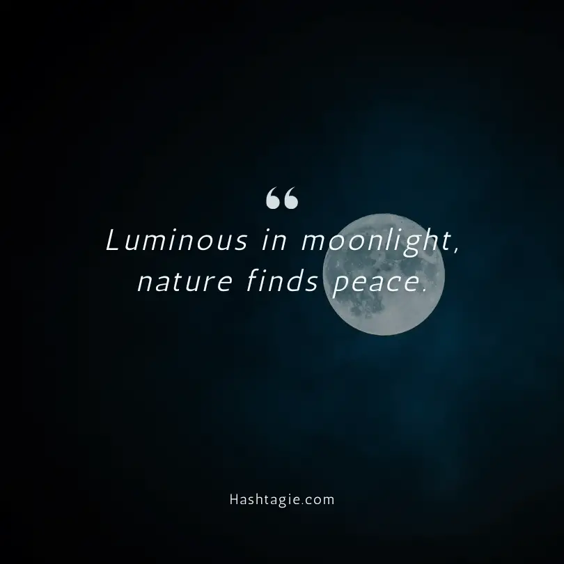 Moonlit Nature Instagram Captions example image