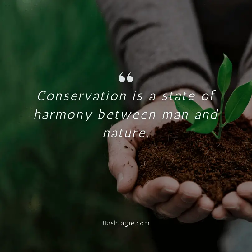 Nature Conservation Instagram Captions. example image