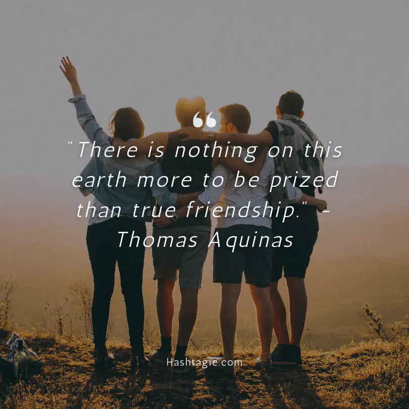 Quotes about friendship and companionship  example image