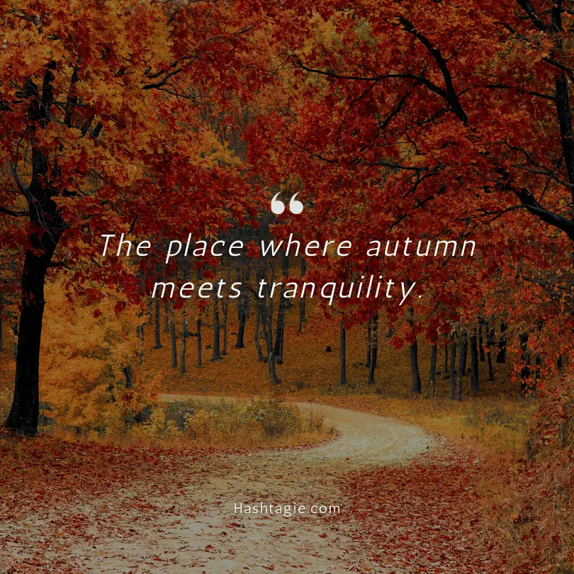 Scenery captions for autumn foliage example image
