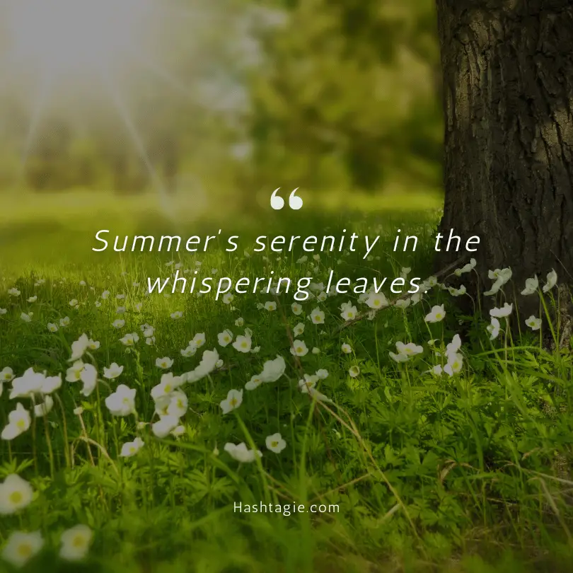 Scenery captions for summer vibes example image