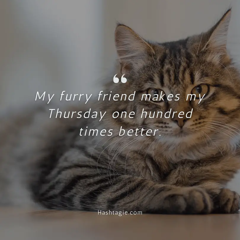 Thursday pet love captions example image