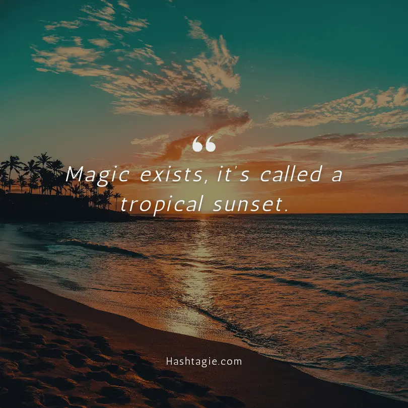 Tropical captions for sunset pictures example image
