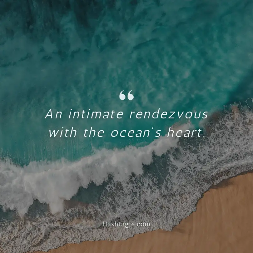 Tropical captions for underwater photography example image