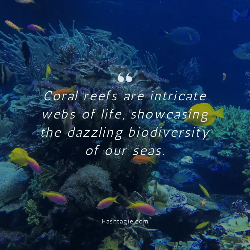 Tropical quotes about coral reefs  example image