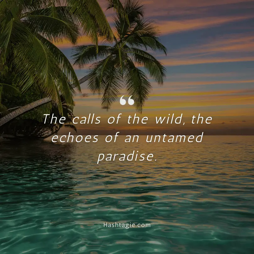 Tropical quotes for jungle treks example image