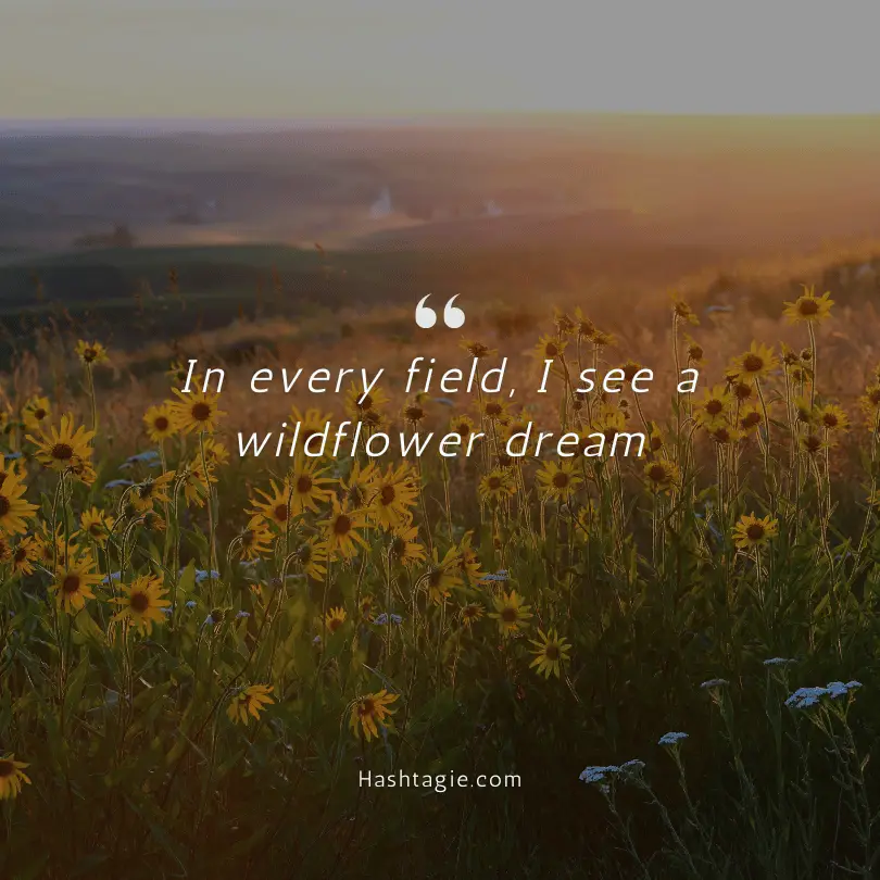 Wildflower Field Instagram Captions example image