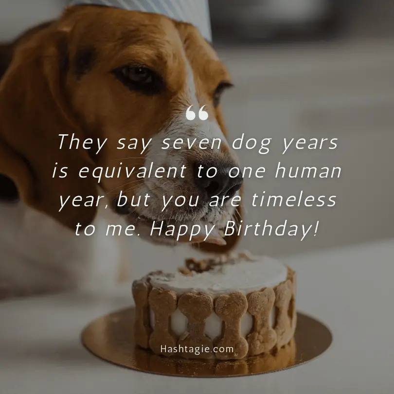Birthday captions for pets example image