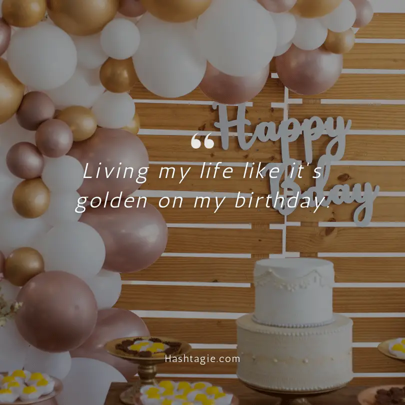 Birthday party-themed captions  example image