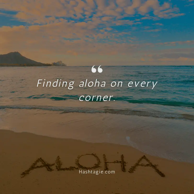 Captions for Hawaiian Road Trips example image