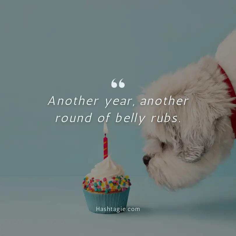Dog birthday captions example image