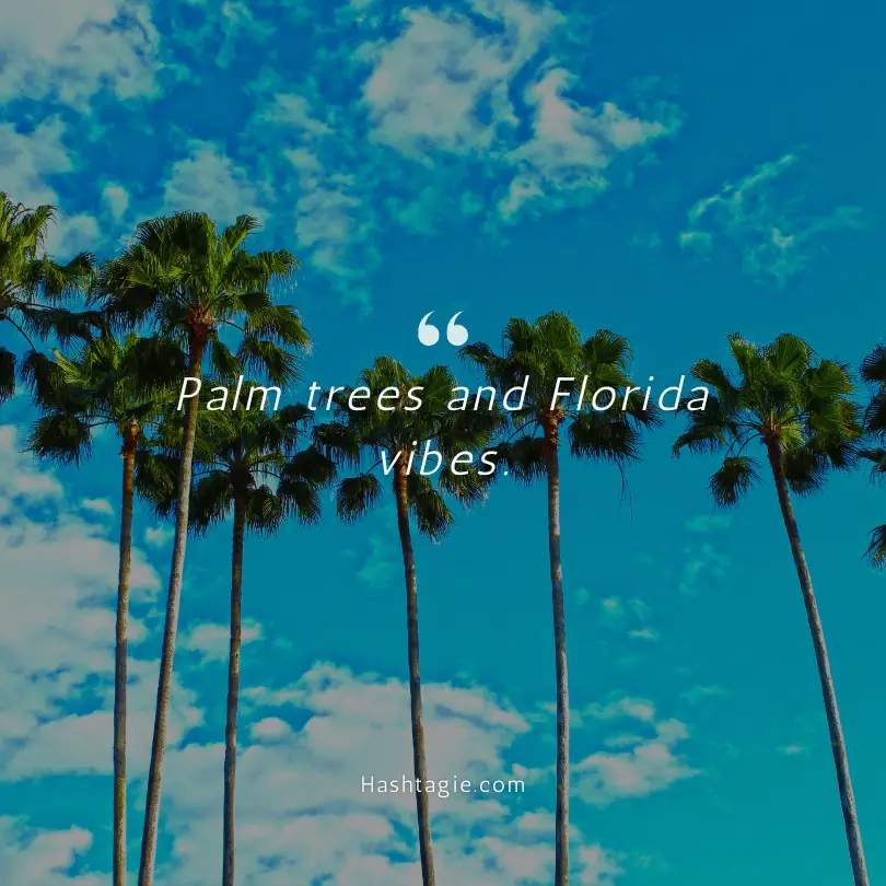 Florida Palm Tree Instagram Captions example image