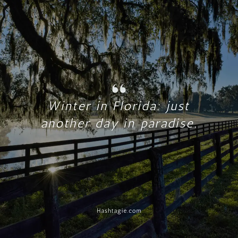 Florida Winter Instagram Captions example image