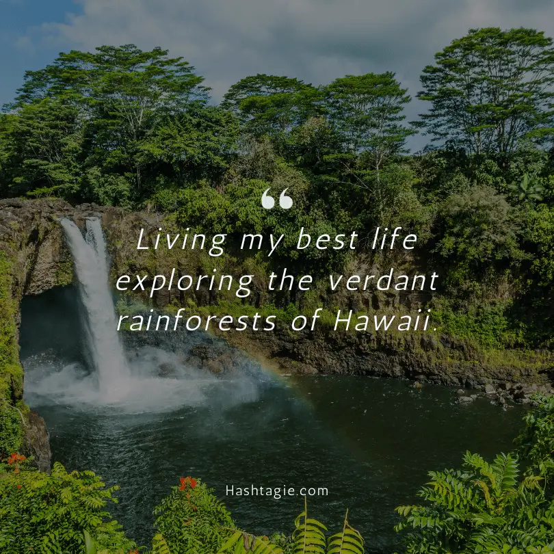 Hawaii Rainforest Exploration Instagram Captions example image