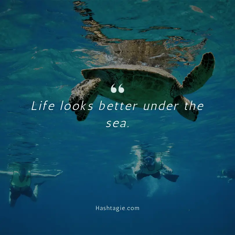 Hawaii Snorkeling Adventure Instagram Captions example image