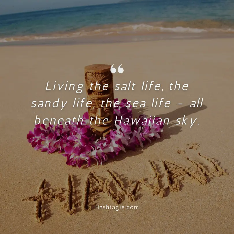 Hawaiian Ocean Life Instagram Captions example image