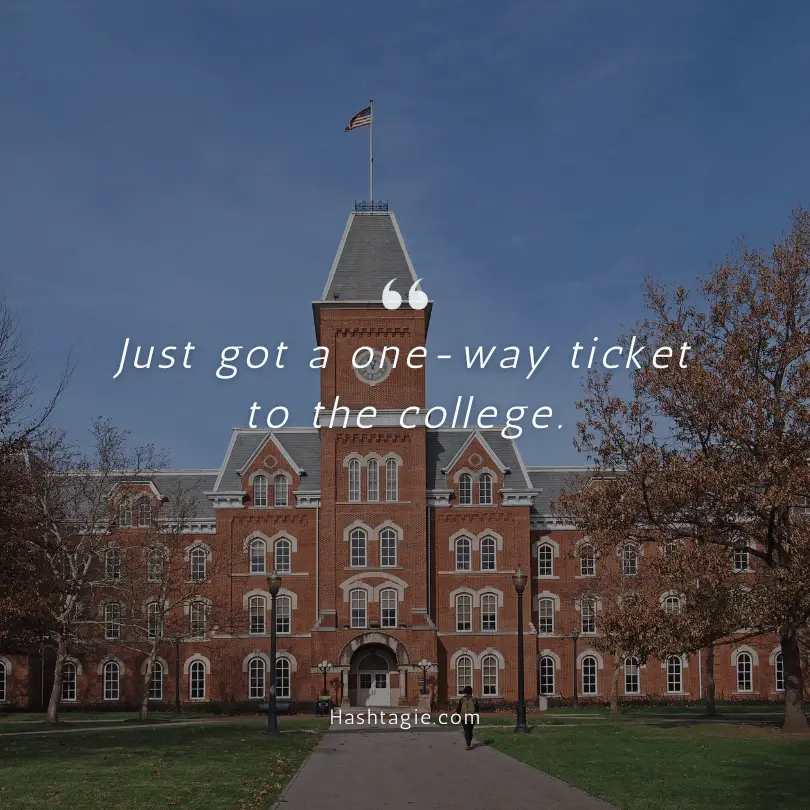 Instagram captions for college acceptance example image