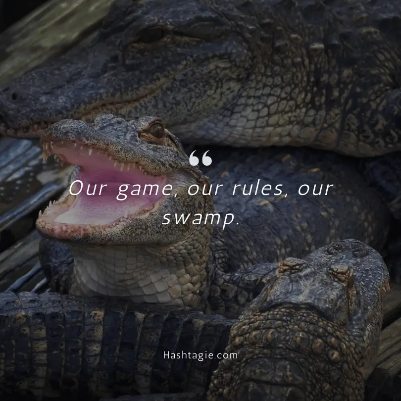 Instagram Captions for Florida Gators example image