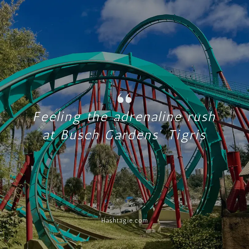 Instagram Captions for Florida Theme Parks example image