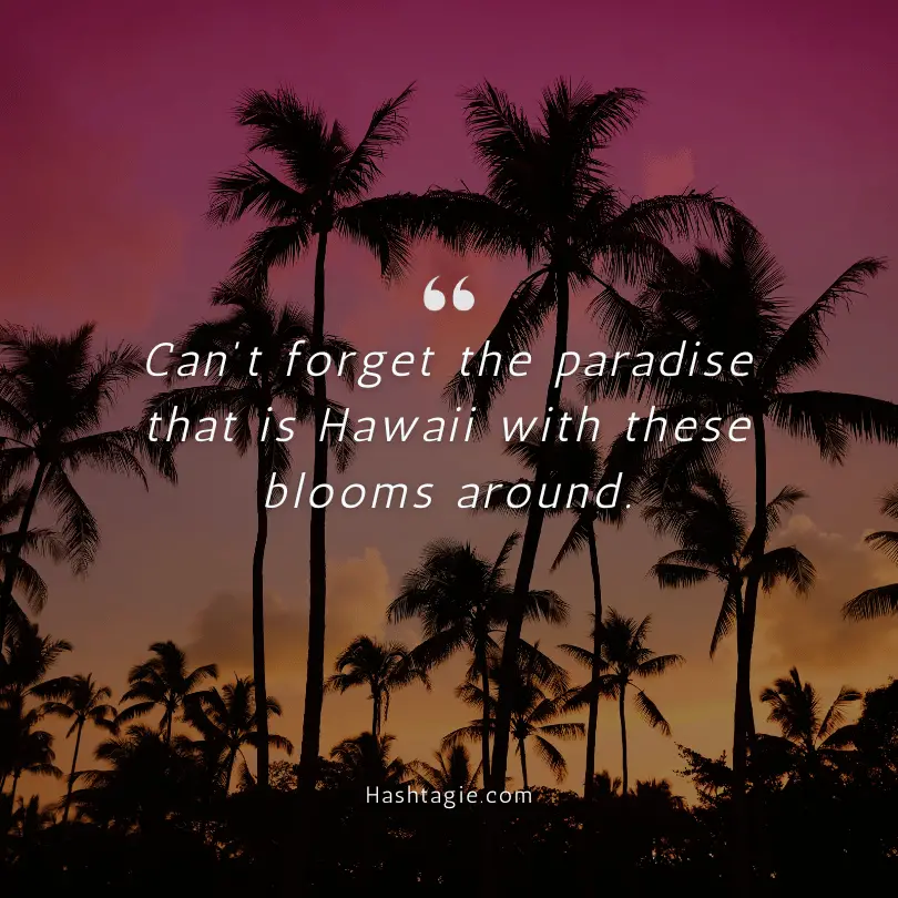 Instagram Captions for Hawaiian Flowers and Plants example image
