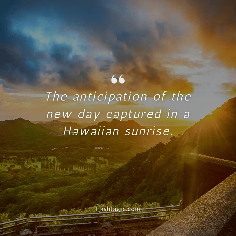 Instagram Captions for Hawaiian Sunrises example image