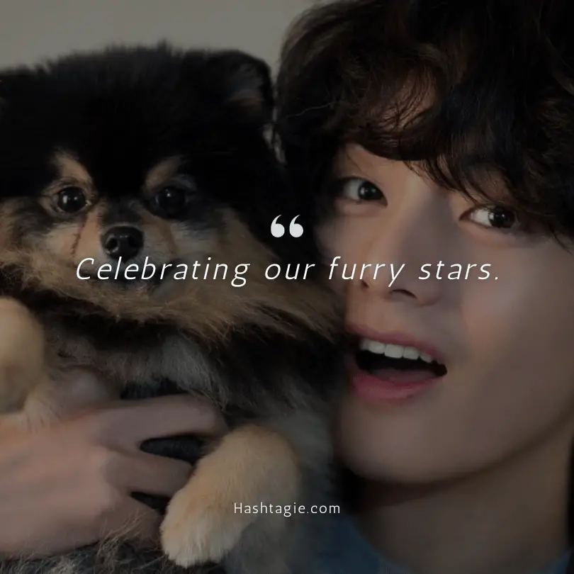 K-pop idols' pets appreciation posts example image
