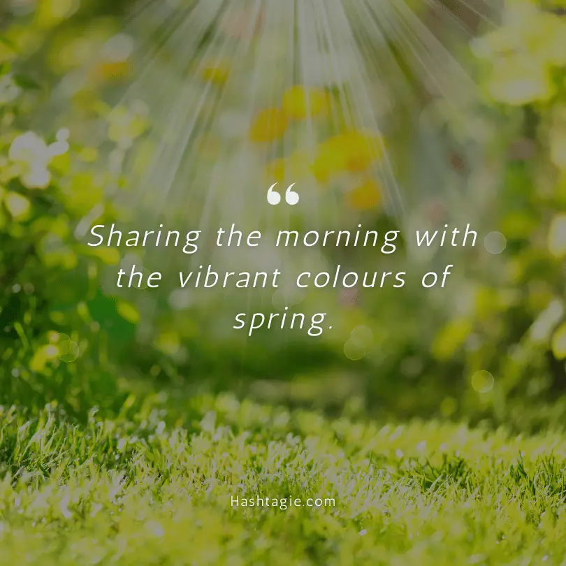 Morning captions for spring  example image