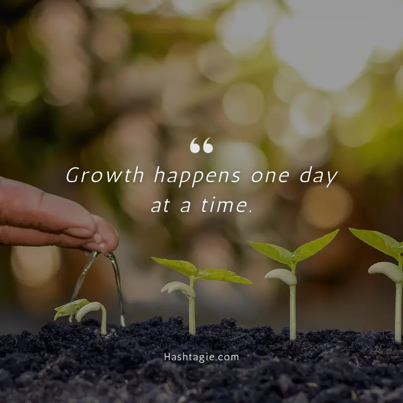 Personal growth Instagram captions example image