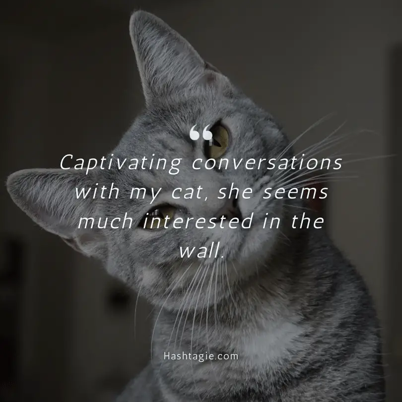 Quirky cat behavior caption ideas example image