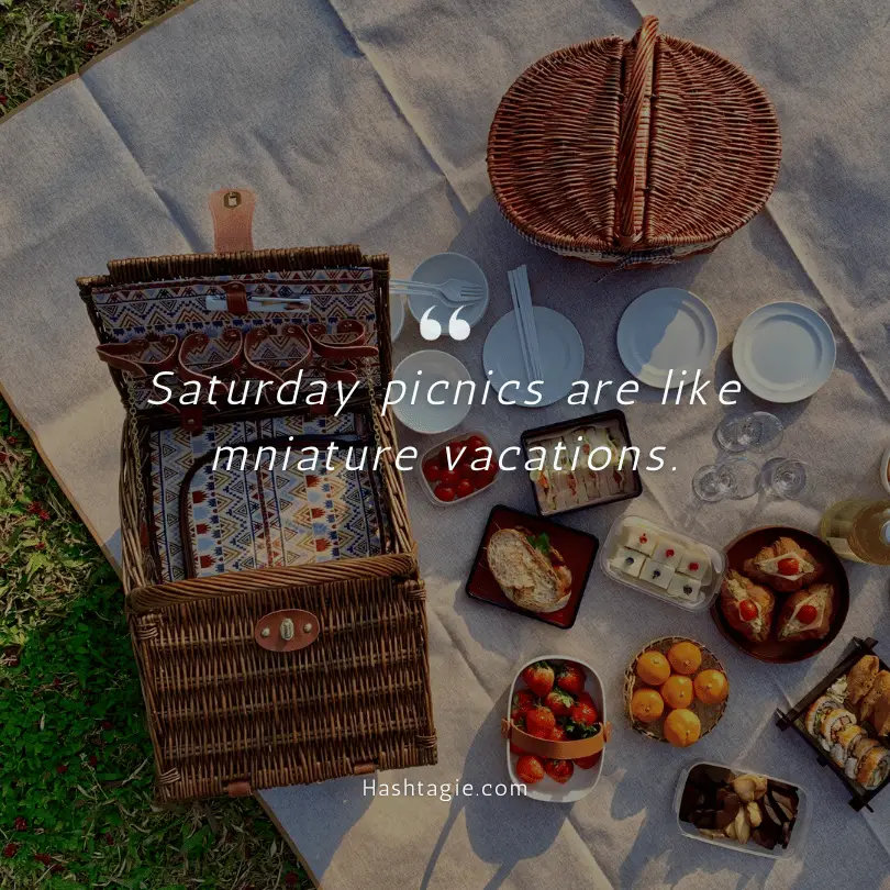 Saturday Picnic Quotes example image