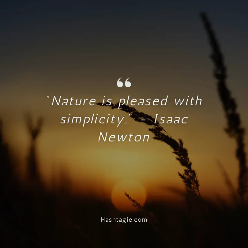 Simplicity quotes for reducing stress example image